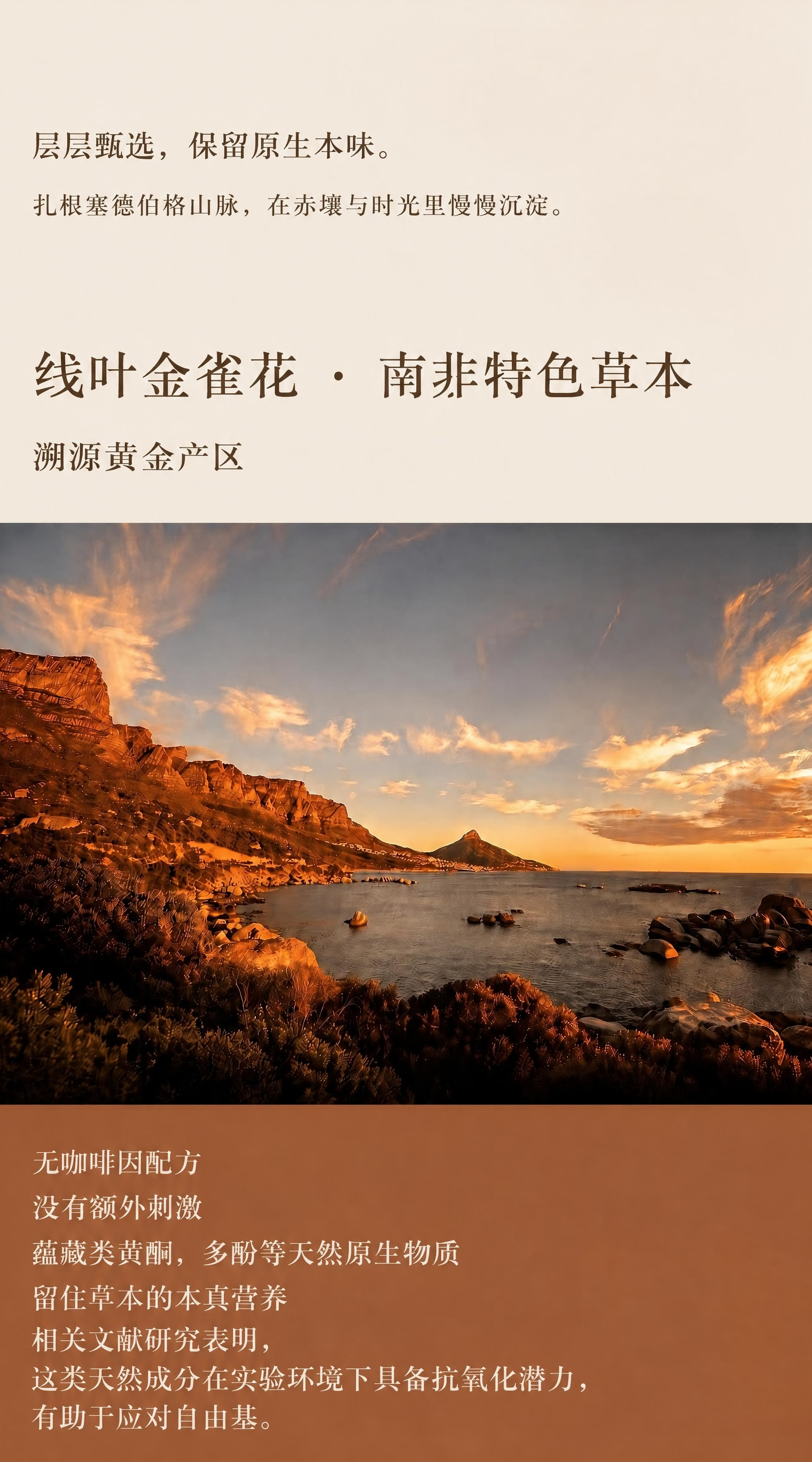 稿定 AI 图片作品 - 图片创意预览