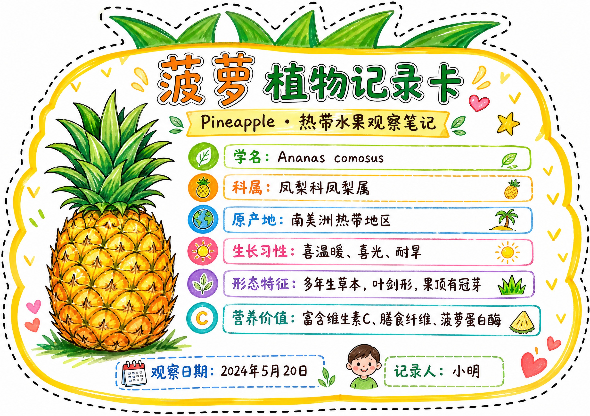 一张菠萝异形植物记录卡，整体为菠萝轮廓造型，沿菠萝外轮廓有一圈… - 图片创意预览