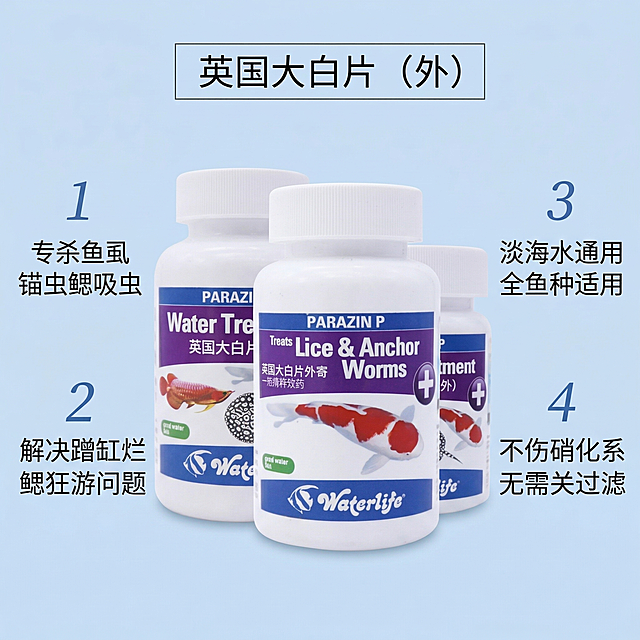 图生图，基于上传产品图生成第二张拼多多电商主图，产品为英国Waterlife外寄大白片，保持简约整体风格。这张图突出核心功效卖点：围绕产品主体，用数字序号标注四大核心卖点：1.专杀鱼虱锚虫鳃吸虫；2.解决蹭缸烂鳃狂游问题；3.淡海水通用全鱼种适用；4.不伤硝化系统无需关过滤。背景使用浅蓝纯色简约背景，产品居中，卖点文字在产品两侧分区域排布，字体清晰，不遮挡产品主体，文案与画面风格协调统一