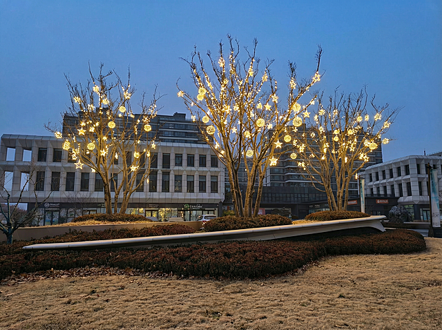 树顶再添加点星星和圆球亮化灯，树干不用