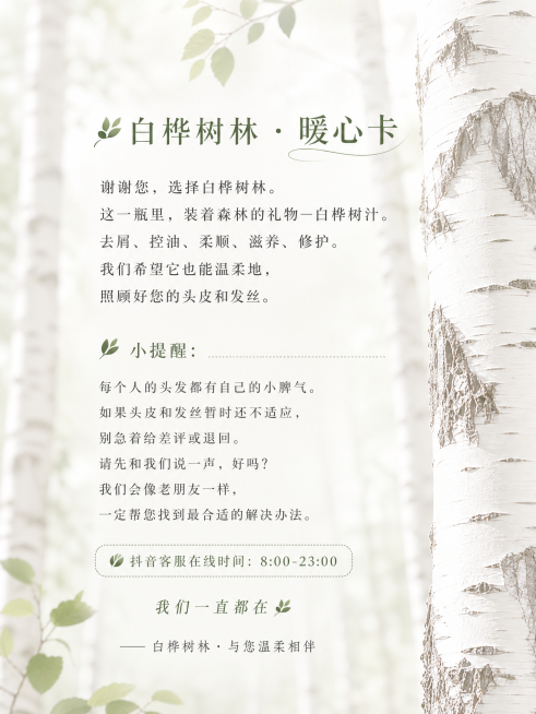 白桦树清晰一点的预览效果