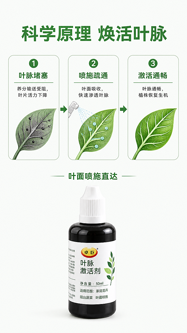 [第3屏] 核心原理-叶脉激活作用机理说明页。
[氛围/风格] 科学简约讲解风，浅绿背景，清晰图文分区，专业不晦涩。
[元素布局] 顶部主标题，中间为原理示意图区域，底部放置产品展示。示意图区域用流程图展示：从堵塞叶脉，到产品喷施疏通，再到激活通畅叶脉三个步骤，每个步骤配小植物图示。产品放在底部居中，保持与【图1】完全一致的外观和比例。
[光影质感] 均匀柔和布光，示意图和产品都清晰明亮，信息展示清晰。
[配色色系] 全局底色：#F8FBF8；主色：#3B7C42深绿；辅助色：浅灰/浅绿；文字：深灰色。
[视角构图] 从上到下信息构图，标题-原理流程图-产品，层级清晰，动线顺畅。
[文字版式] 顶部主标题「科学原理 焕活叶脉」，居中深绿加粗。三个流程步骤分别配短标题：「叶脉堵塞」「喷施疏通」「激活通畅」，每个步骤配1句话简洁说明。底部产品上方标注「叶面喷施直达」，文字清晰，排版舒适。
[比例分辨率] 9:16竖版比例，4K分辨率，文字清晰可辨，超高清。
[负向提示词] 产品变形，文字错乱，流程图混乱，颜色偏差，水印，背景杂乱