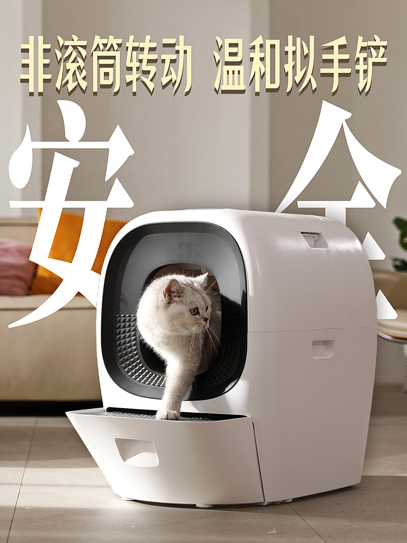 宠物产品营销小红书封面