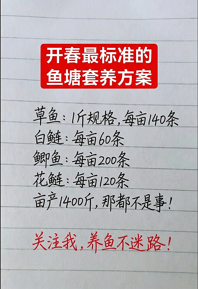背景是带横格的白色笔记本纸张，顶部有一个红色矩形框，红色框内是白色粗体大字标题“开春最标准的鱼塘套养方案”，下方依次手写黑色文字：草鱼：1斤规格，每亩140条，白鲢：每亩60条，鲫鱼：每亩200条，花鲢：每亩120条， 亩产1400斤，那都不是事！，底部是红色手写大字：关注我，养鱼不迷路！，排版和原图一致，字体风格和颜色和原图保持一致，一字不差