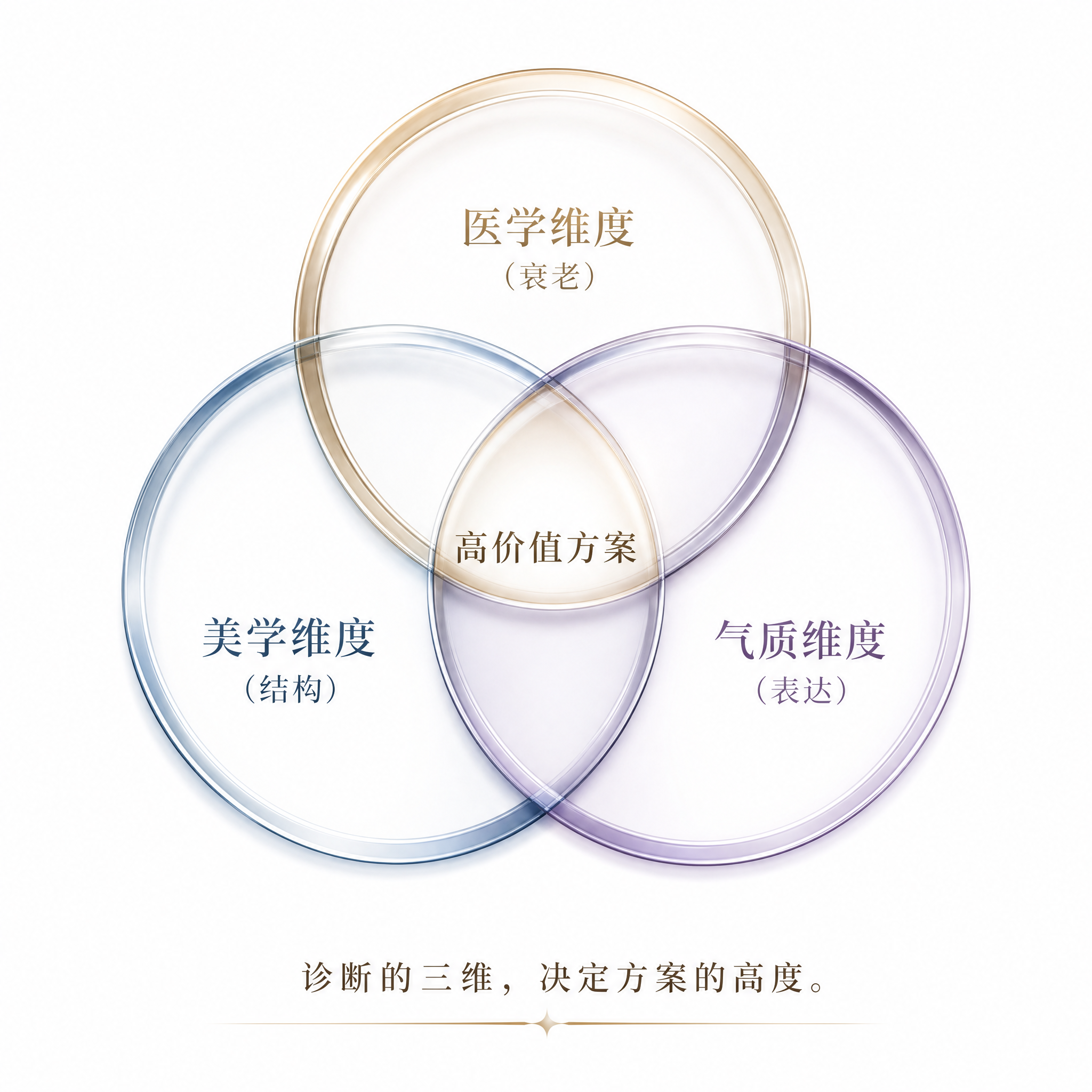 三个相交的圆环维恩图，分别标注"医学维度（衰老）"、"美学维度… - 图片创意预览