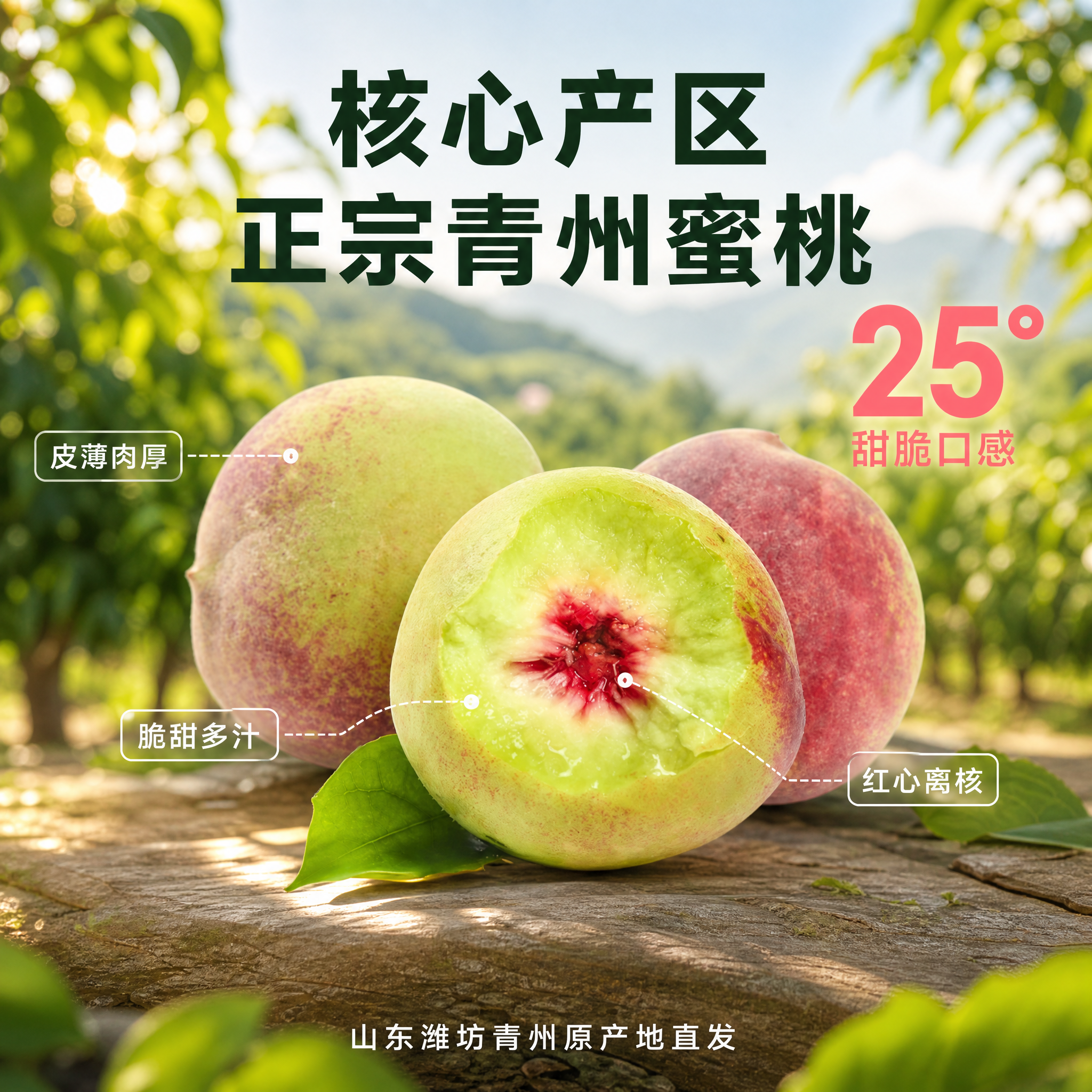 [主图-2] 青州蜜桃产地溯源与核心亮点图。 [氛围风格] 果… - 图片创意预览