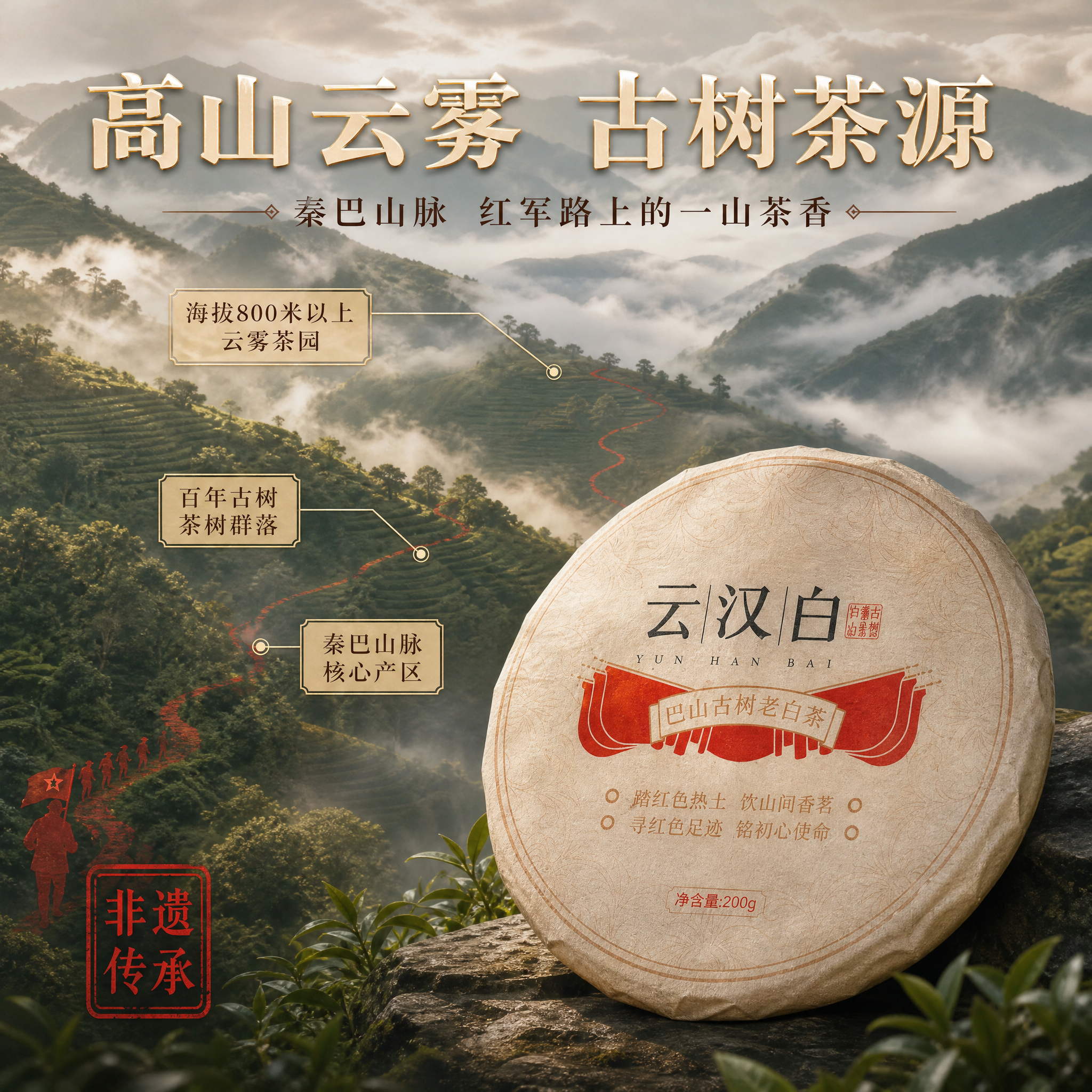 [主图-2] 云汉白古树白茶产地溯源图，核心任务是传递高山云雾… - 图片创意预览