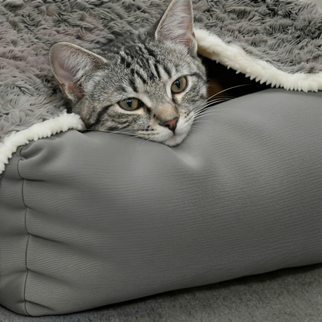 猫头换灰色狸花猫，表情神态背景不变预览效果