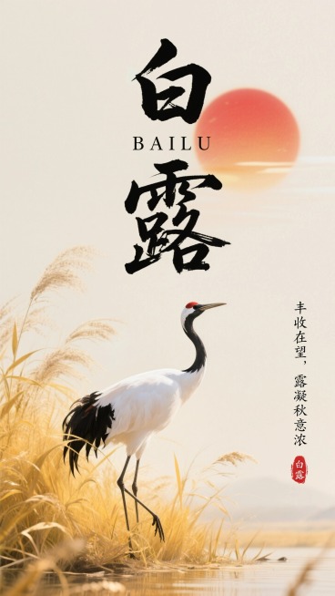 预览效果