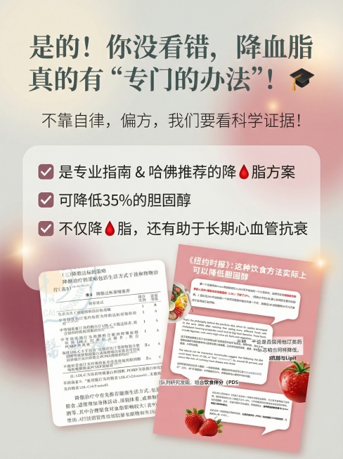 浅奶油灰粉色背景，柔和洁净温暖，核心品牌色为深邃浓郁带高级灰调的浆果红色，辅助色深灰色，点缀色同色系深粉，整体专业私密柔和可信赖具现代科技感。画面中以拼贴形式排列提供的两张配图，背景为柔和浅色模糊渐变预览效果