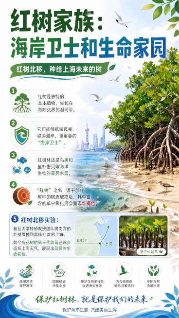 预览效果
