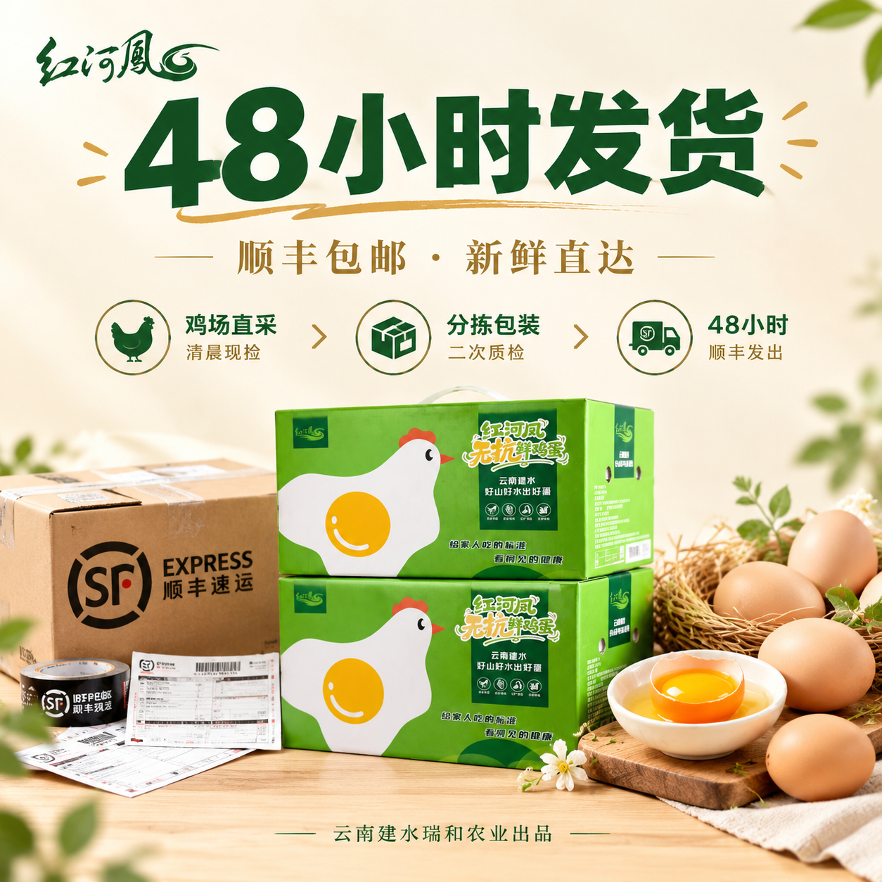 为「红河凤鲜鸡蛋」创作一张物流发货主题宣传图，风格与之前营销图… - 图片创意预览