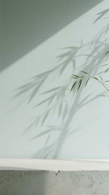 极简主义摄影风格，柔和的浅灰色墙面，墙面上清晰投射着细长柳叶的斑驳阴影，光影层次细腻，底部是带有粗糙纹理的浅色水泥台面，整体色调变换为宁静的莫兰迪灰绿色调，光线柔和均匀，营造出静谧、自然、简约的氛围，画面干净整洁，留白充足，质感细腻。预览效果