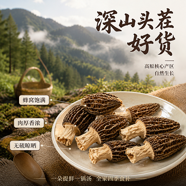 [主图-2] 羊肚菌产地溯源与核心亮点 深山头茬好货。
[氛围风格] 自然山野风 产地溯源感 温暖真实 干货食材商业摄影。
[画质] 商业摄影质感 光线自然柔和 产品清晰真实 画面层次丰富 超高清。
[元素] 画面左侧为高原山林产地实景 远山云雾 松林间隐约可见采摘竹篮 营造深山产地氛围。右侧前景白色瓷盘整齐摆放6-8朵羊肚菌干货 蜂窝纹理饱满 菌柄粗壮 产品占画面约50%。瓷盘旁放置竹制小铲 麻布垫 增加山野质朴感。背景虚化的山林与前景产品自然过渡 形成产地到产品的视觉连接。保持羊肚菌外观 物理结构 材质质感 颜色与输入产品图一致 杜绝任何变形和色差 精细化处理。
[光影] 自然山林漫射光 整体柔和均匀 产品受光面清晰 暗部有环境反光 暖调自然光 无强烈硬阴影。
[配色] 主色深棕褐色 菌菇 辅色森林绿 远山 米白 瓷盘 点缀色竹黄 麻布棕。
[视角构图] 平视微俯角度 左背景右前景构图 产品在右侧黄金分割点 景深较大 背景山林轻微虚化 突出前景产品。
[文字版式] 右上负空间右对齐 主标题大字 深山头茬好货 深褐色粗体书法字 最大号。下方两行短句 高原核心产区 自然生长 细宋体 字号约为标题三分之一。左侧中部竖向排列三个数据标签 用细引线指向产品不同部位 肉厚香浓 指向菌柄 蜂窝饱满 指向菌盖 无硫晾晒 指向整体 标签为米白底深褐字圆角矩形。底部小字 一朵提鲜一锅汤 全家四季食补 居中排列 细体字。
[输出要求] 1:1比例 文字清晰可辨 超高清商业摄影质感。
[负向提示词] 变形 文字错乱 产品图模糊 背景杂乱 水印 电商平台Logo 多余手指 手部扭曲。