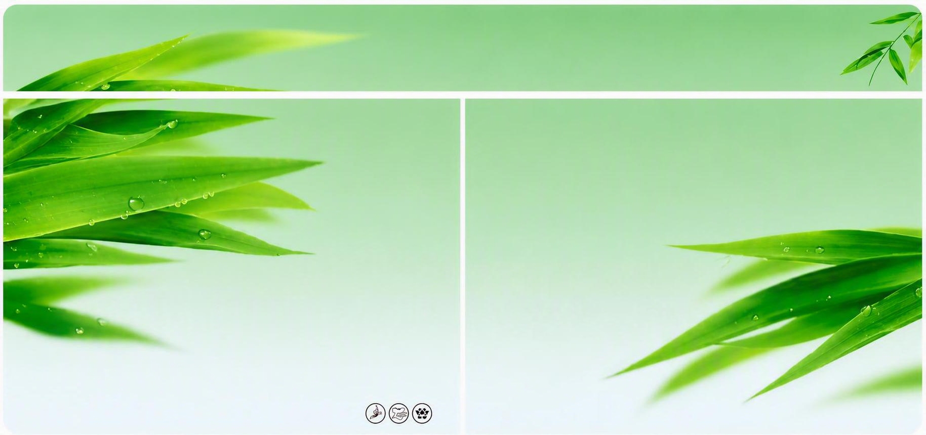 将这张图片高清化，提升清晰度和分辨率，保留原图的绿色竹叶、水珠… - 图片创意预览