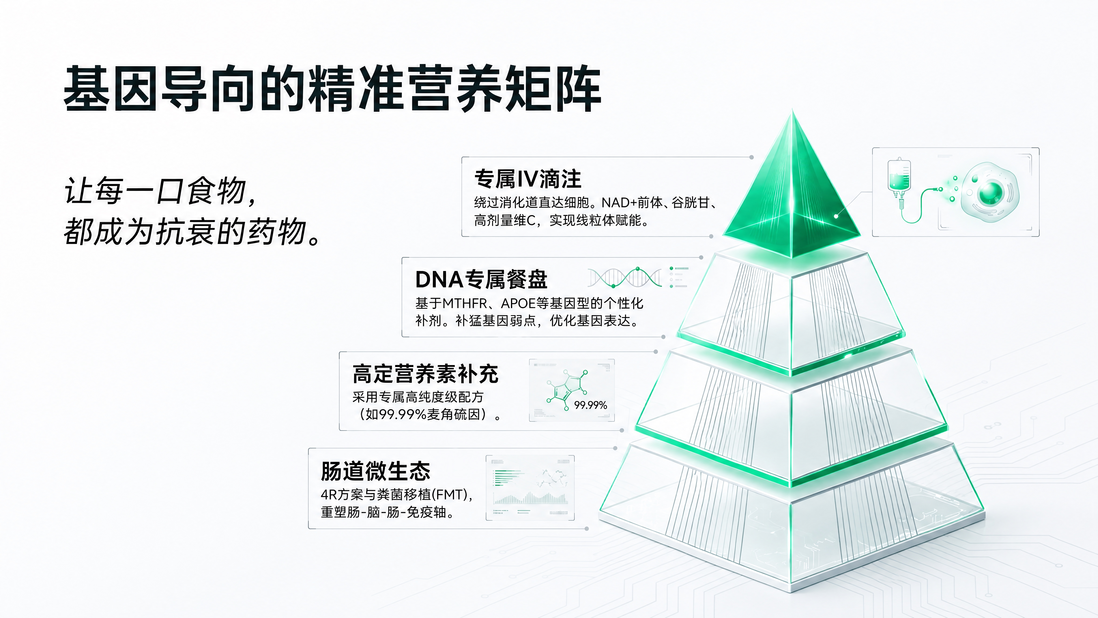 修复这张信息图：1. 纠正所有崩坏、模糊、变形的文字，确保每个… - 图片创意预览
