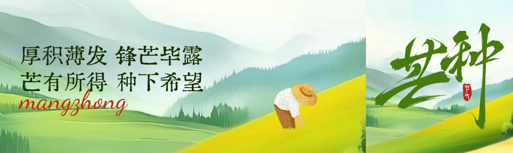 芒种清新感节气祝福微信公众号双封面预览效果