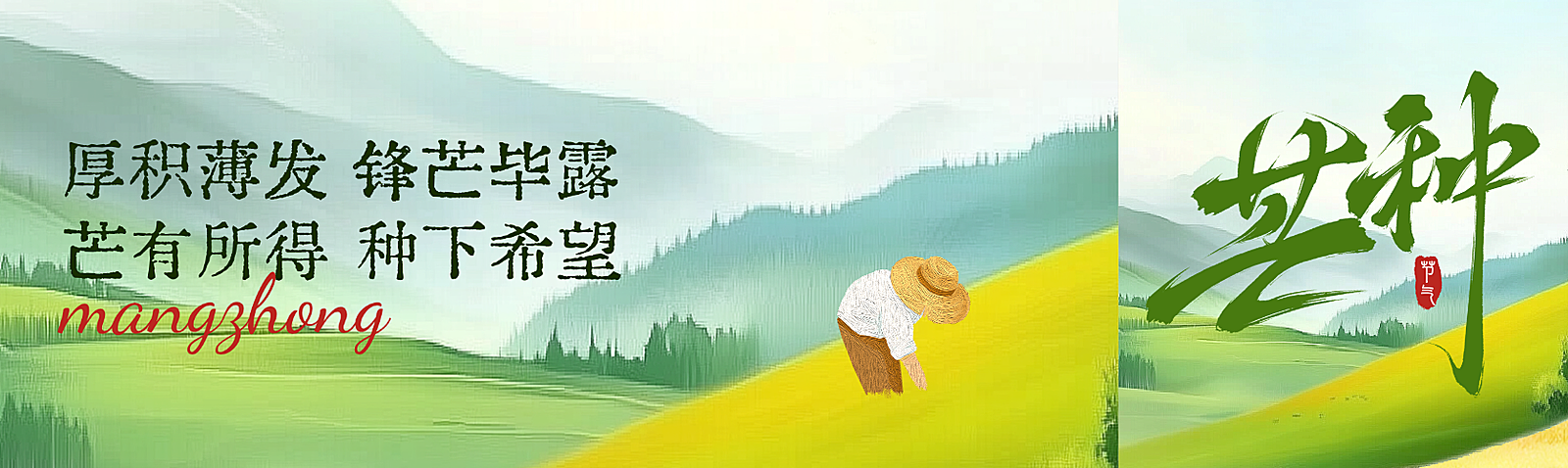 芒种清新感节气祝福微信公众号双封面