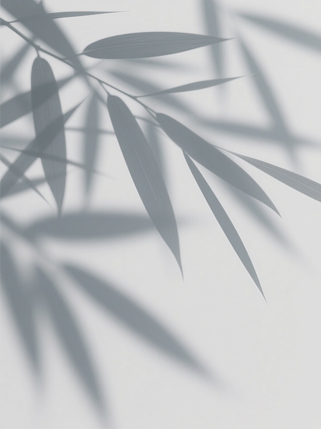 一张纯白色背景上分布着柔和渐变灰色调的竹叶阴影纹理图片，阴影线条呈现自然交错的不规则排列，边缘过渡圆润且具有轻微的虚化模糊效果，质感轻盈通透，光影层次细腻，整体呈现出宁静自然的氛围，适合作为设计中的阴影叠加素材使用。