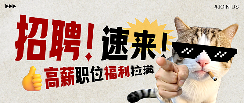 招聘爆款简约冲击感吸睛大字猫咪可爱公众号首图aigc