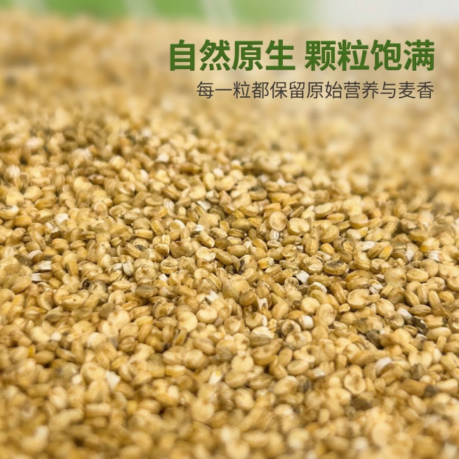 [垫图]https://gdesign-dam-hz.dancf.com/35830576893773945/7f64e3de2de14d8fbcfecc4f0175455c.jpg
[主图主题]藜麦预览效果
