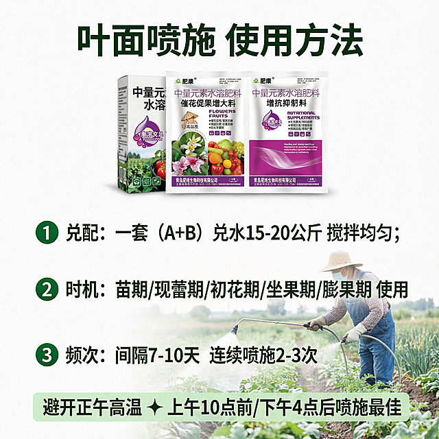 [主图-4] 叶面喷施使用方法说明图。[氛围风格] 清晰直观易学，通俗易懂。[画质] 商业摄影质感、光线柔和通透、产品清晰真实、画面干净高级。[元素] 产品套装居中偏上展示，保持产品外观与原图一致不变形色差，下方分步骤展示使用操作：第一步准备，一套兑水15-20公斤，搅拌均匀；第二步喷施，均匀喷施叶片正反面、花果处，背景搭配农民田间喷施作业实拍小图，丰富内容。背景为浅白色干净背景。商品主体占比合理，产品突出。[光影] 均匀明亮布光，产品、步骤、小图都清晰可见。[配色] 浅白背景，产品紫白色，步骤文字深绿色，清晰易读。[视角构图] 产品在上，步骤在下，上下分区排版，主体完整不裁切。[文字版式] 顶部主标题大字"叶面喷施 使用方法"，深绿色粗体居中；分三行步骤标注：1️⃣ 兑配：一套（A+B）兑水15-20公斤 搅拌均匀；2️⃣ 时机：苗期/现蕾期/初花期/坐果期/膨果期 使用；3️⃣ 频次：间隔7-10天 连续喷施2-3次；每个步骤带序号图标，字号适中清晰，不遮挡产品。底部提醒文字"避开正午高温 ✦ 上午10点前/下午4点后喷施最佳"，浅绿底白字提示标签。[比例分辨率] 1:1 比例，2048*2048 分辨率，超高清。[负向提示词] 变形，水印，文字错乱，产品图模糊，背景杂乱，绝对化违禁词