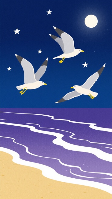极简主义插画风格，画面以深邃的靛蓝色夜空为背景，点缀着几颗明亮的白色星星，下方是渐变的深紫色海面，海浪呈现出柔和的白色线条，金色的沙滩在月光下泛着淡淡的冷光，三只姿态各异的海鸥在夜空中飞翔，海鸥的身体为浅灰色，翅膀边缘有深灰色的渐变，喙和爪子为明亮的黄色，整体画面营造出宁静而神秘的夜晚海边氛围，构图简洁，色彩对比鲜明，线条流畅平滑。预览效果