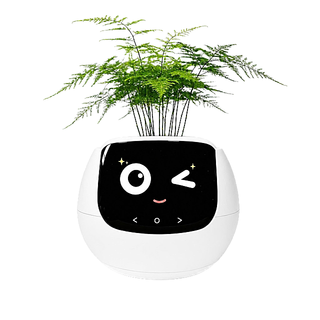 将花盆外壳改为全白色（纯白色哑光质感），白色底座与外壳融为一体但仍有细微分界线。眨眼卖萌表情、文竹植物、黑色屏幕、触控按键、光影、角度、背景完全保持不变。纯白色背景，产品居中。