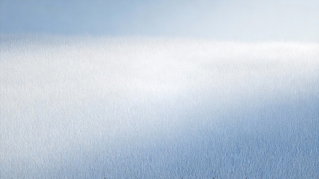 这三张蓝色部分太深了，以后不要出现，继续生成10张