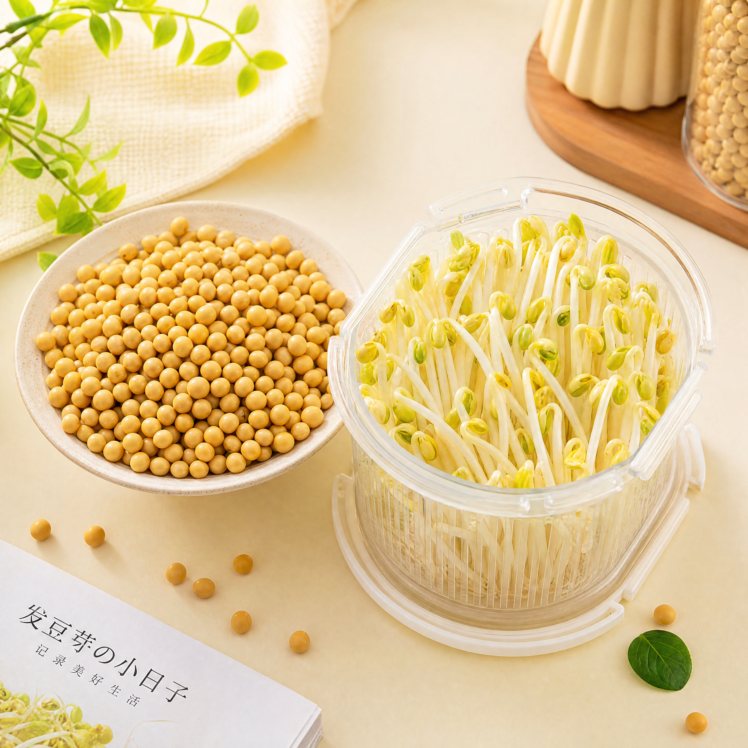 创意预览图