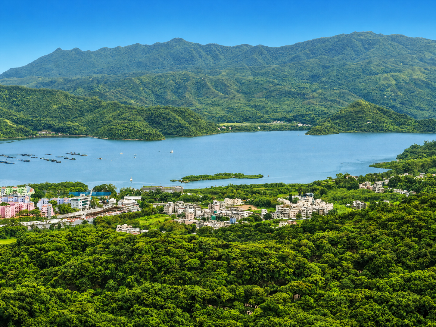 提高图片亮度，调整光影，让整体画面变得阳光明媚，整体色调更明亮… - 图片创意预览