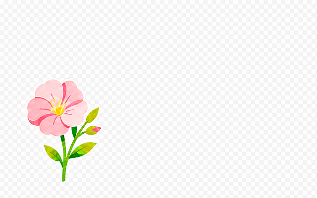 只提取保留图片左侧的整枝粉色花朵（包含花茎、叶子和花苞），删除其他所有内容，保持透明背景，保留原始颜色和样式