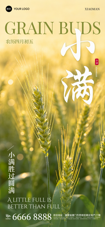 小满节气习俗宣传简约全屏竖版海报预览效果