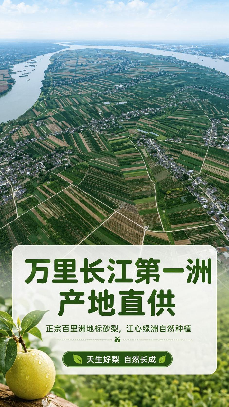 [第3屏] 产地溯源屏-百里洲砂梨原产地展示。本屏使用【图8】… - 图片创意预览