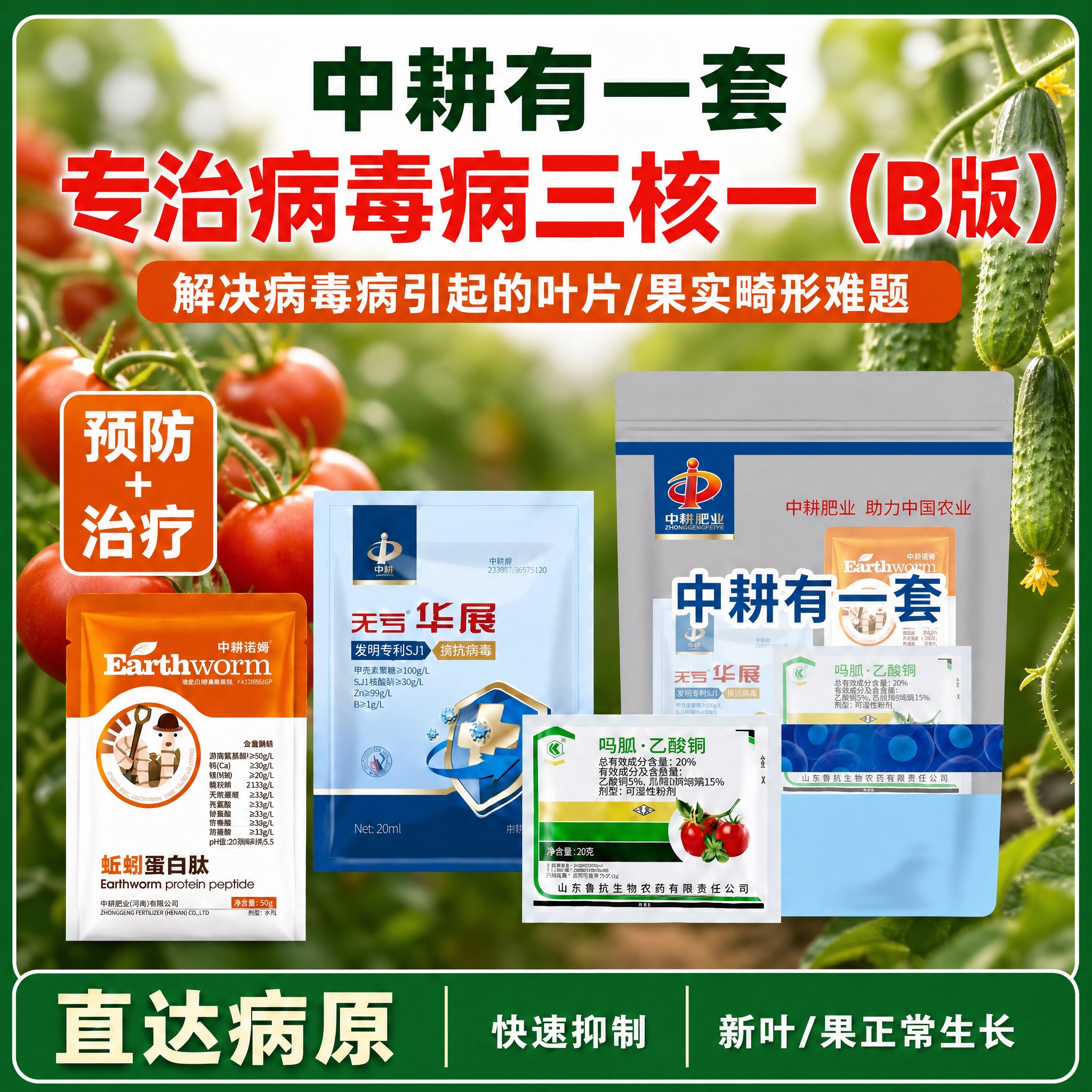 修改这张电商主图：1. 远处的植株和背景再模糊一点，虚化程度加… - 图片创意预览