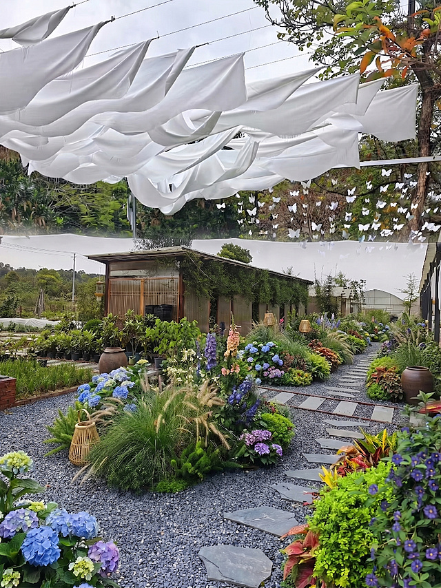在图1基础上，将房屋右侧空地（原为裸露碎石与少量杂草区域）填充为与现有风格一致的植物景观：延续图中蓝绣球、紫毛地黄、观赏草、彩叶植物、蕨类等组合，形成层次丰富的花境；地面保持深灰砾石+石板步道基底，新增小型竹编装饰或陶罐点缀；确保新植区域与左侧已有花境在色彩、高度、密度上协调统一，整体仍为真实摄影质感