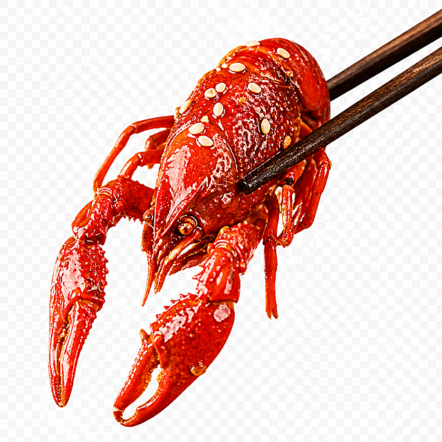 一双筷子夹起一只红亮的麻辣小龙虾，小龙虾表面撒有白芝麻，油光诱人，高清美食摄影，白底透明背景