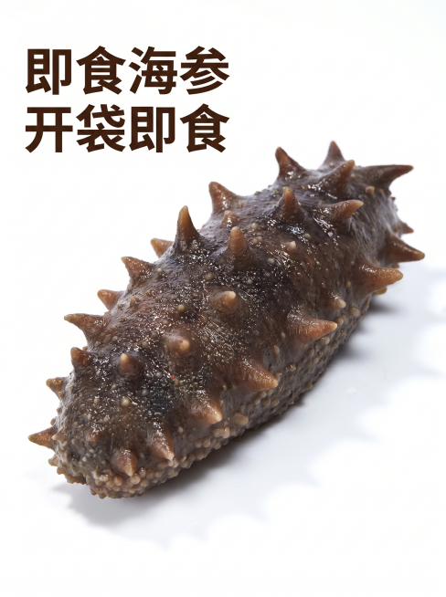 [主图-1] 即食海参单只展示首图。保持即食海参深褐棕褐色外观，肉刺挺拔粗壮，表面颗粒感饱满，Q弹水润光泽的品质特征，不重复原海参姿态，商品主体占比约70%，画面干净简约，纯白色背景，突出海参完整新鲜预览效果