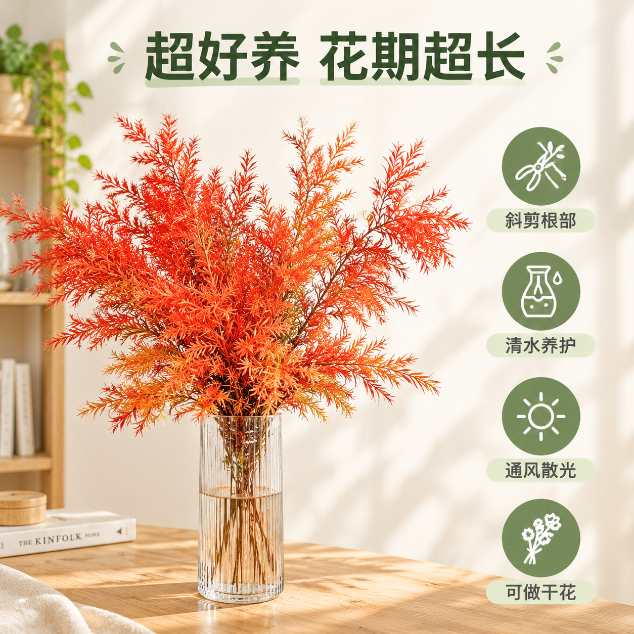 [主图-4] 黄金香柳千层金鲜切枝 养护说明与花期展示图 [统… - 图片创意预览