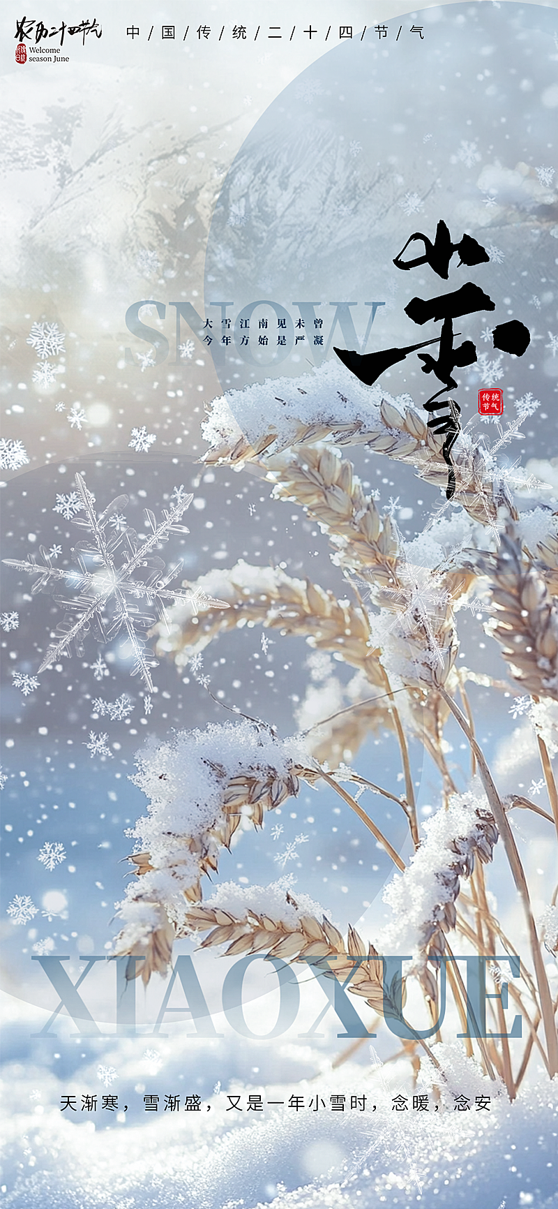 小雪海报