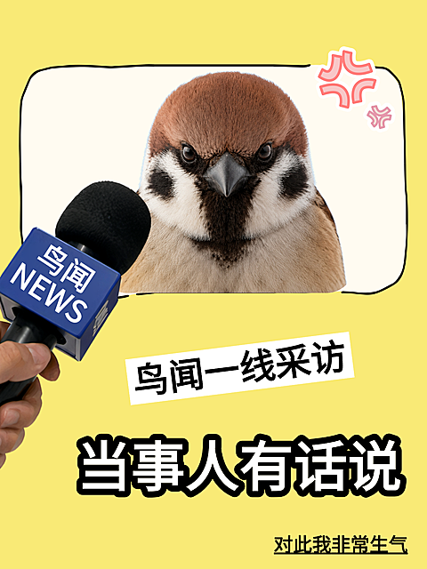 新闻采访抽象卡通风小红书梗图