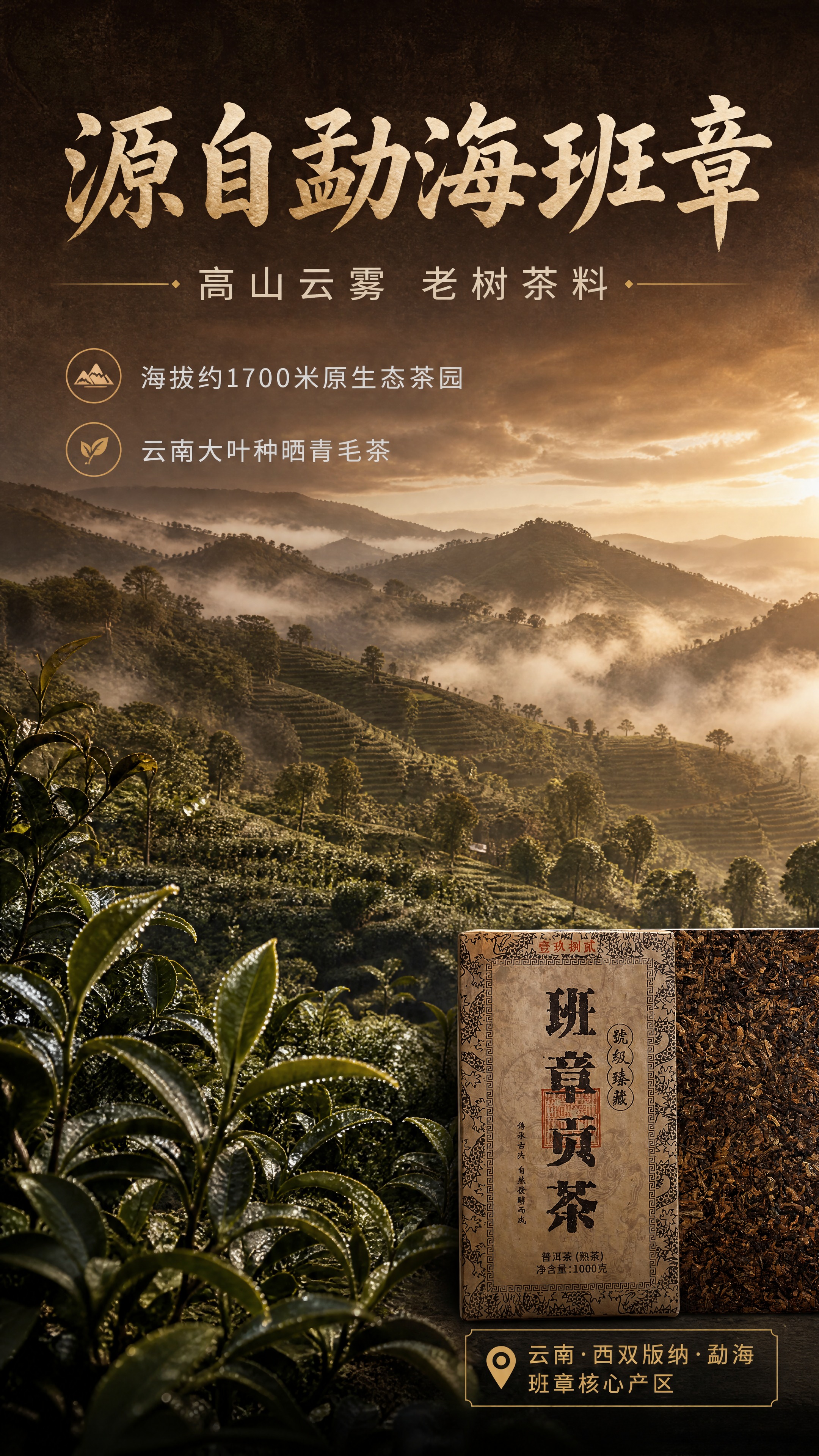 [商品] 使用【图1】班章贡茶产品包装作为画面右下角辅助露出，… - 图片创意预览