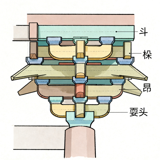 单独绘制的中国古建筑斗栱结构图，清晰展示古建筑中斗栱的构造层次和形态特征，标注出斗栱，作为古建筑构件教学示意图，风格简洁专业，结构清晰预览效果