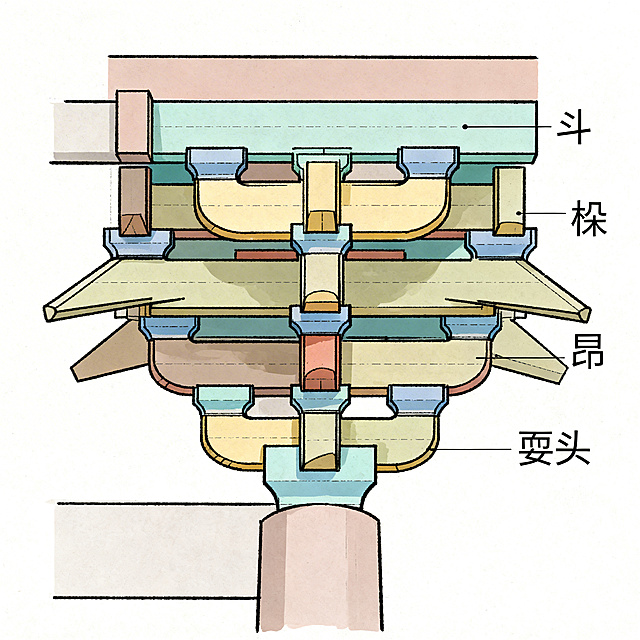 单独绘制的中国古建筑斗栱结构图，清晰展示古建筑中斗栱的构造层次和形态特征，标注出斗栱，作为古建筑构件教学示意图，风格简洁专业，结构清晰