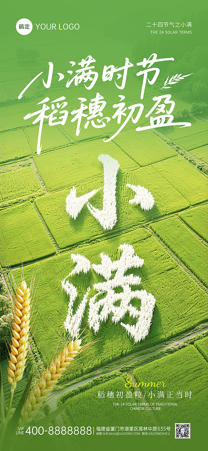 小满时节节气祝福清新稻田稻穗通用全屏竖版海报
