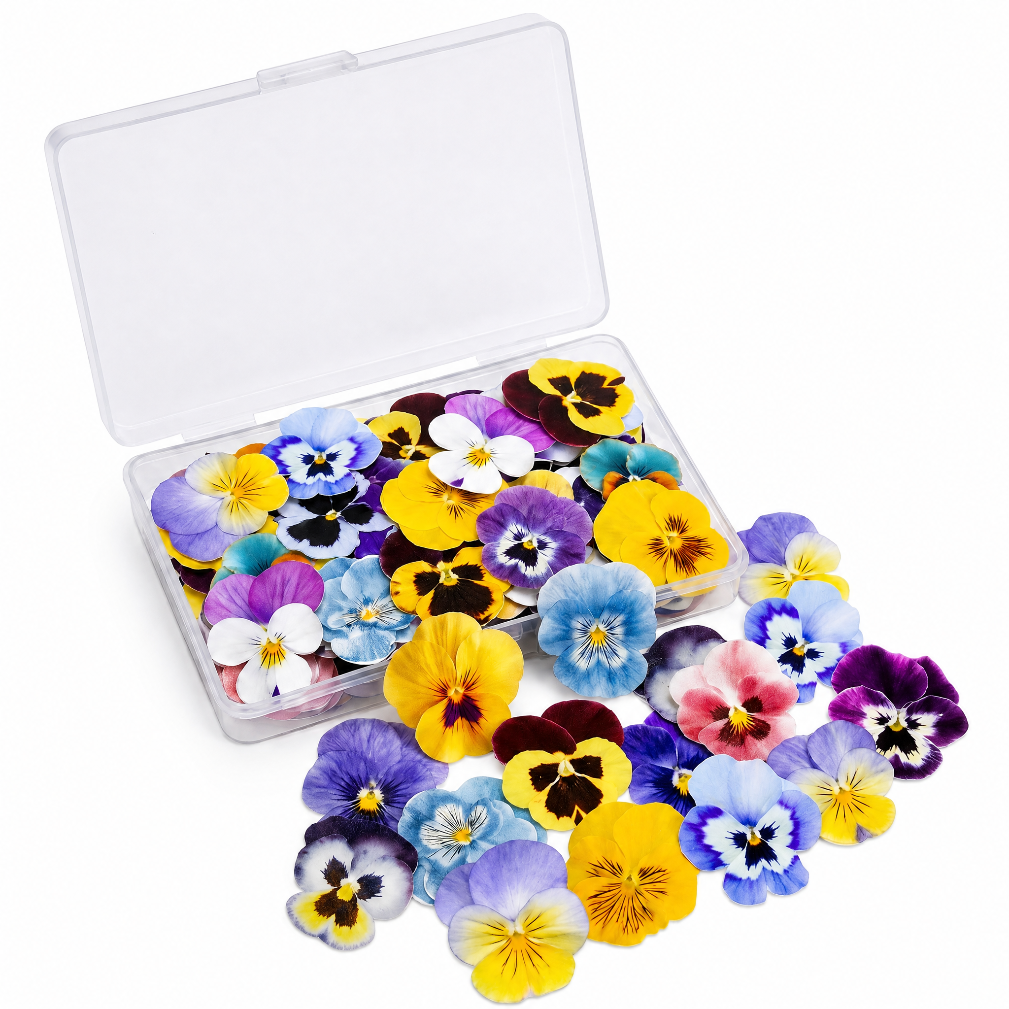 Clear plastic storage box fille… - 图片创意预览