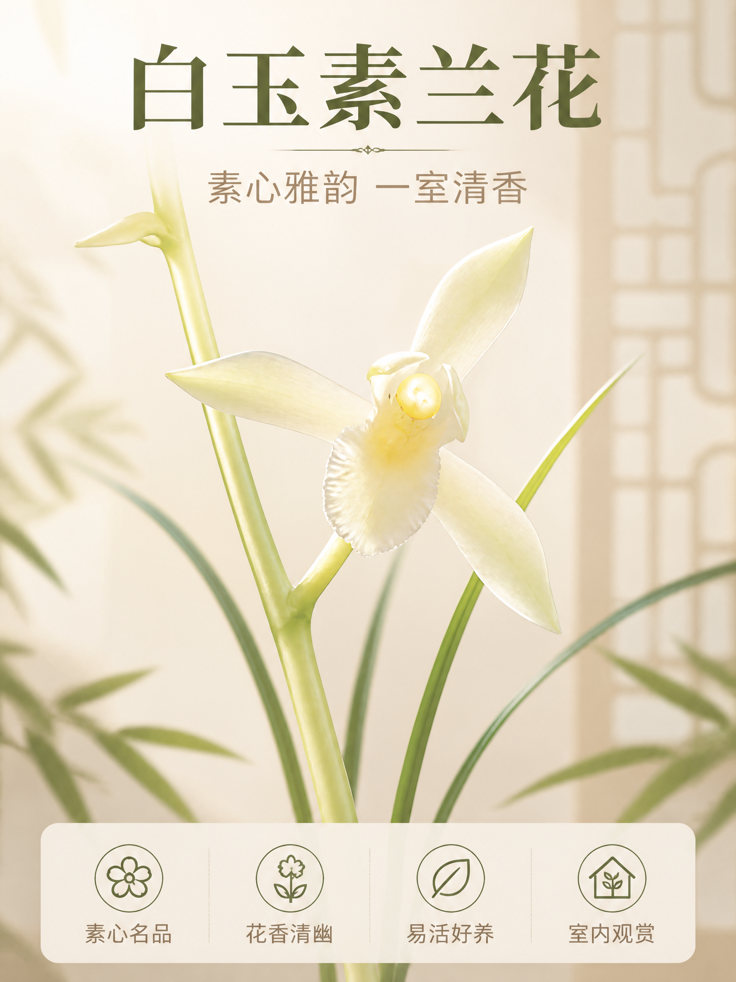 [商品] 使用【图1】白玉素兰花；保留奶白偏黄绿素心花瓣、黄色… - 图片创意预览