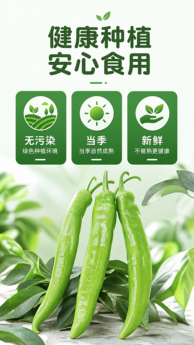 [第4屏] 健康种植特点展示屏。本屏使用【图1】作为青椒主体参考，保持青椒外观一致。
[氛围/风格] 天然健康绿色风格，干净清爽，突出种植优势。
[元素布局] 画面采用上下分栏结构，上方标题区域，中间三格图标展示区，下方放置完整青椒展示。三格分别展示三个健康种植特点，每个格子配图标和简短说明。保持青椒形状纹理色泽与原图一致，青椒放在下方占区域40%。
[光影质感] 均匀柔和自然光，整体画面明亮干净，突出产品和卖点信息，清晰易读。
[配色色系] 全局底色：#F2F9F0（浅青绿色）；主体配色：绿色系为主，图标用绿色配白色文字，沿用首屏配色体系。
[视角构图] 标准信息构图，从上到下标题-卖点-产品，结构清晰，适合手机阅读。
[文字版式] 顶部居中主标题 "健康种植 安心食用"，圆角深绿色字体。中间三个卖点图标横向排列：第一个图标 "无污染" 说明 "绿色种植环境"，第二个图标 "当季" 说明 "当季自然成熟"，第三个图标 "新鲜" 说明 "不催熟更健康"。每个图标配文字清晰可读，字号适配移动端。下方展示完整青椒，文字不遮挡主体。沿用首屏字体和字色规则。
[比例分辨率] 9:16竖版比例，4K分辨率，文字清晰可辨，超高清。
[负向提示词] 青椒变形，颜色偏差，文字错乱，图标模糊，违规宣传，水印