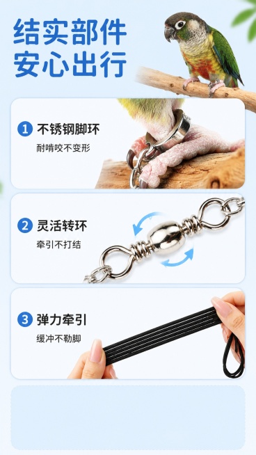 [第8屏] 鹦鹉放飞绳结实耐用部件展示，使用产品实拍图 9:16 1080x1920
[氛围/风格] 清爽自然，真实展示产品部件
[元素布局] 顶部主标题，下方三张产品细节特写纵向排列，分别展示脚环、预览效果
