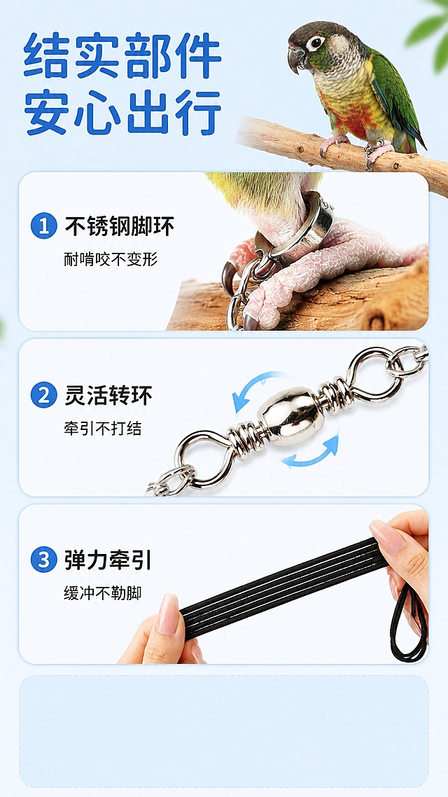 [第8屏] 鹦鹉放飞绳结实耐用部件展示，使用产品实拍图 9:16 1080x1920
[氛围/风格] 清爽自然，真实展示产品部件
[元素布局] 顶部主标题，下方三张产品细节特写纵向排列，分别展示脚环、转环和牵引绳，每个部件配简短说明文字，底部预留内容位置
[光影质感] 清晰明亮，每个部件细节都清楚呈现
[配色色系] 浅蓝底色，标题深蓝色，文字黑色
[文字版式] 主标题：结实部件，安心出行；三个部件：
1 不锈钢脚环 耐啃咬不变形
2 灵活转环 牵引不打结
3 弹力牵引 缓冲不勒脚
底部预留文字位置，排版干净不拥挤
[负向提示词] 模糊，变形，文字错误，拥挤杂乱